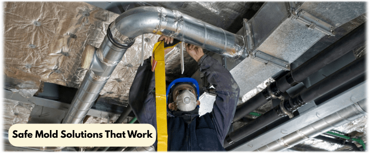 Air Duct Mold Removal in Peoria