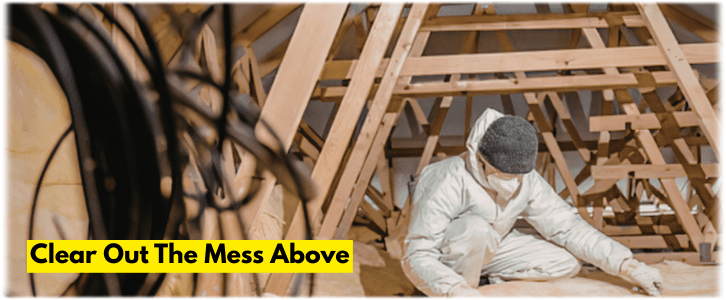 Attic Cleaning Peoria