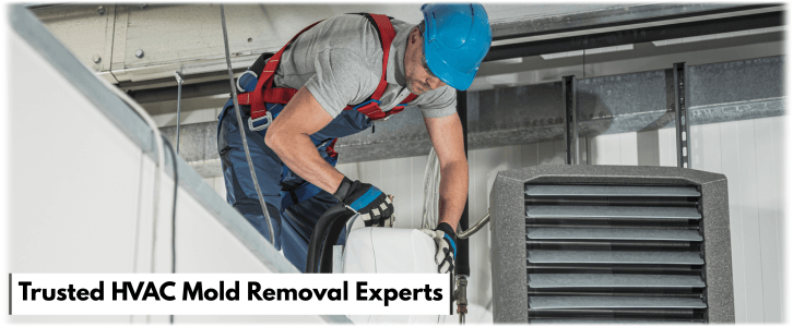 HVAC Mold Removal Peoria